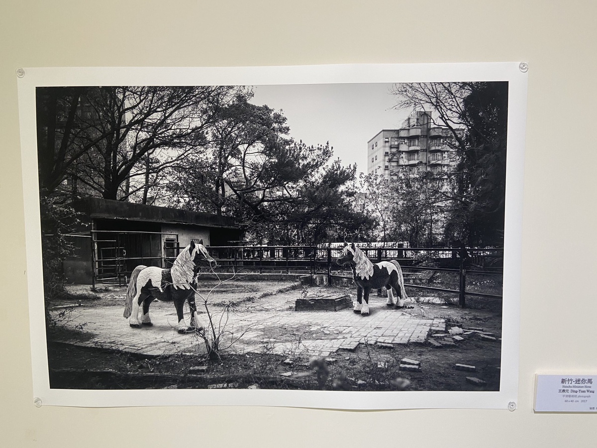 迷你馬-省思Reflection-藝術家王鼎元